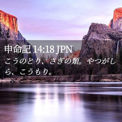 Picture 02 - 申命記 14:18 JPN - こうのとり、さぎの類。やつがしら - Bible Verse Picture