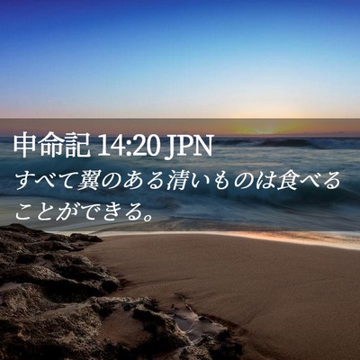 Picture 02 - 申命記 14:20 JPN - すべて翼のある清いものは食べるこ - Bible Verse Picture