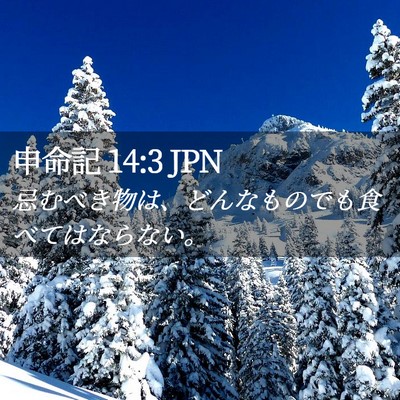 Picture 02 - 申命記 14:3 JPN - 忌むべき物は、どんなものでも食べ - Bible Verse Picture