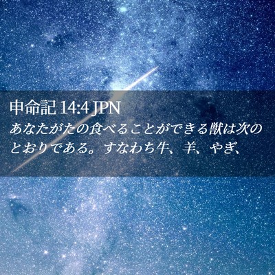 Picture 02 - 申命記 14:4 JPN - あなたがたの食べることができる獣 - Bible Verse Picture
