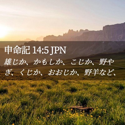 Picture 02 - 申命記 14:5 JPN - 雄じか、かもしか、こじか、野やぎ - Bible Verse Picture