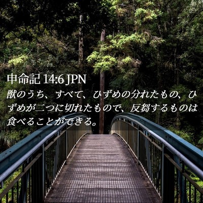 Picture 02 - 申命記 14:6 JPN - 獣のうち、すべて、ひずめの分れた - Bible Verse Picture