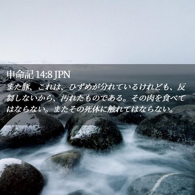Picture 02 - 申命記 14:8 JPN - また豚、これは、ひずめが分れてい - Bible Verse Picture
