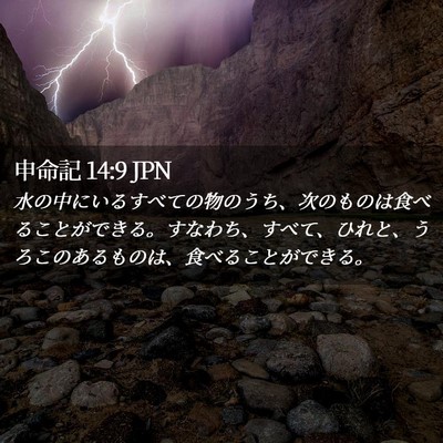 Picture 02 - 申命記 14:9 JPN - 水の中にいるすべての物のうち、次 - Bible Verse Picture