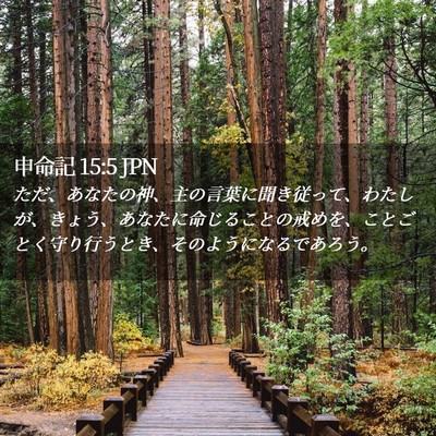 Picture 02 - 申命記 15:5 JPN - ただ、あなたの神、主の言葉に聞き - Bible Verse Picture