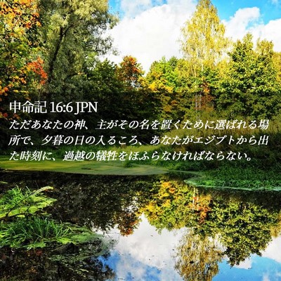 Picture 02 - 申命記 16:6 JPN - ただあなたの神、主がその名を置く - Bible Verse Picture