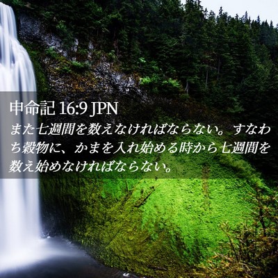 Picture 02 - 申命記 16:9 JPN - また七週間を数えなければならない - Bible Verse Picture