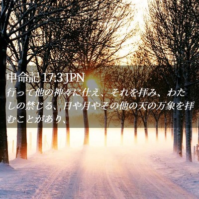 Picture 02 - 申命記 17:3 JPN - 行って他の神々に仕え、それを拝み - Bible Verse Picture
