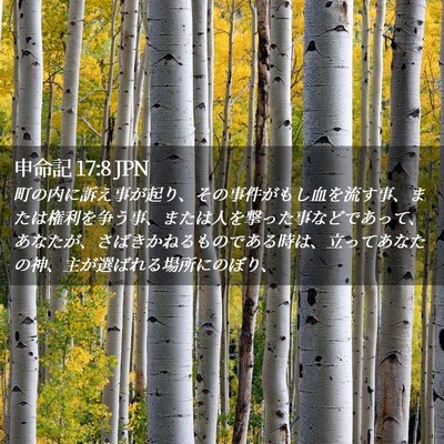 Picture 02 - 申命記 17:8 JPN - 町の内に訴え事が起り、その事件が - Bible Verse Picture