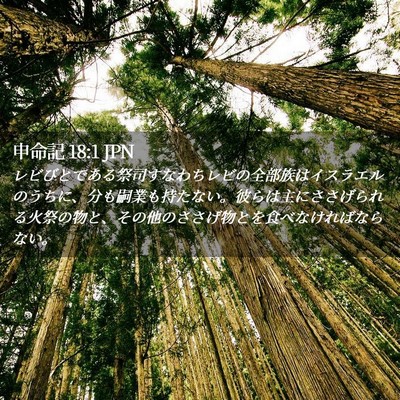 Picture 02 - 申命記 18:1 JPN - レビびとである祭司すなわちレビの - Bible Verse Picture