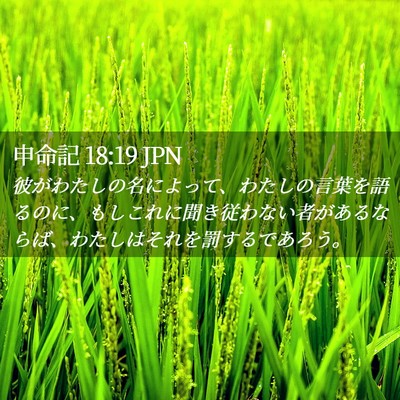 Picture 02 - 申命記 18:19 JPN - 彼がわたしの名によって、わたしの - Bible Verse Picture
