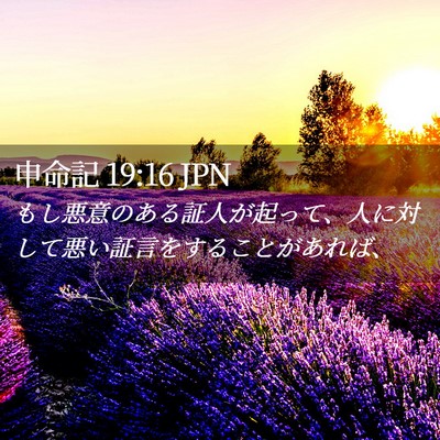 Picture 02 - 申命記 19:16 JPN - もし悪意のある証人が起って、人に - Bible Verse Picture