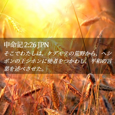 Picture 02 - 申命記 2:26 JPN - そこでわたしは、ケデモテの荒野か - Bible Verse Picture