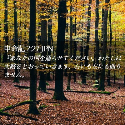 Picture 02 - 申命記 2:27 JPN - 『あなたの国を通らせてください。 - Bible Verse Picture