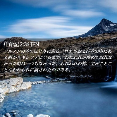 Picture 02 - 申命記 2:36 JPN - アルノンの谷のほとりにあるアロエ - Bible Verse Picture
