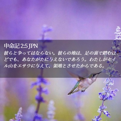 Picture 02 - 申命記 2:5 JPN - 彼らと争ってはならない。彼らの地 - Bible Verse Picture