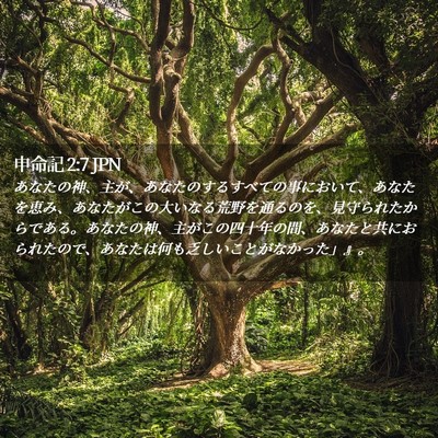 Picture 02 - 申命記 2:7 JPN - あなたの神、主が、あなたのするす - Bible Verse Picture