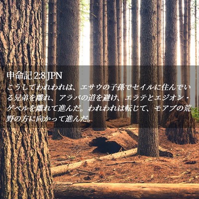 Picture 02 - 申命記 2:8 JPN - こうしてわれわれは、エサウの子孫 - Bible Verse Picture