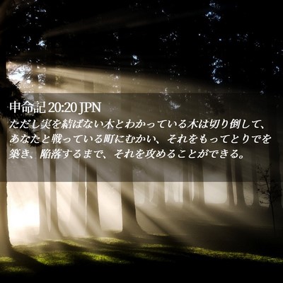 Picture 02 - 申命記 20:20 JPN - ただし実を結ばない木とわかってい - Bible Verse Picture