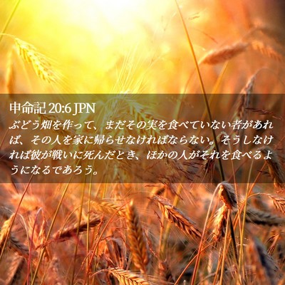 Picture 02 - 申命記 20:6 JPN - ぶどう畑を作って、まだその実を食 - Bible Verse Picture