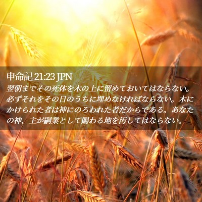 Picture 02 - 申命記 21:23 JPN - 翌朝までその死体を木の上に留めて - Bible Verse Picture