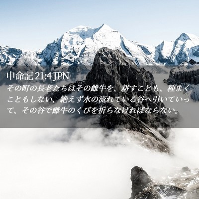 Picture 02 - 申命記 21:4 JPN - その町の長老たちはその雌牛を、耕 - Bible Verse Picture
