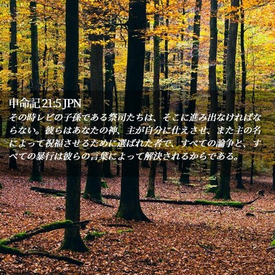 Picture 02 - 申命記 21:5 JPN - その時レビの子孫である祭司たちは - Bible Verse Picture