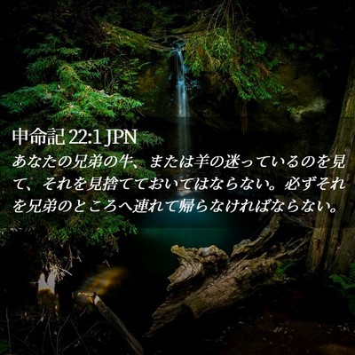 Picture 02 - 申命記 22:1 JPN - あなたの兄弟の牛、または羊の迷っ - Bible Verse Picture