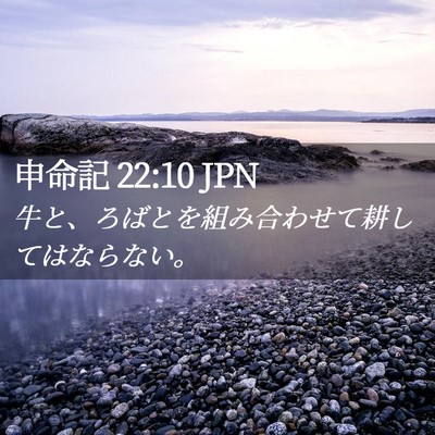 Picture 02 - 申命記 22:10 JPN - 牛と、ろばとを組み合わせて耕して - Bible Verse Picture
