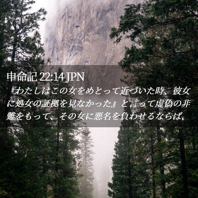 Picture 02 - 申命記 22:14 JPN - 『わたしはこの女をめとって近づい - Bible Verse Picture