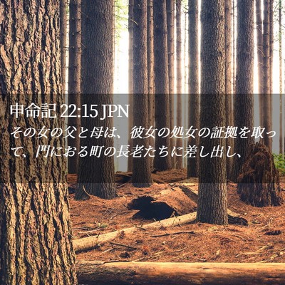 Picture 02 - 申命記 22:15 JPN - その女の父と母は、彼女の処女の証 - Bible Verse Picture