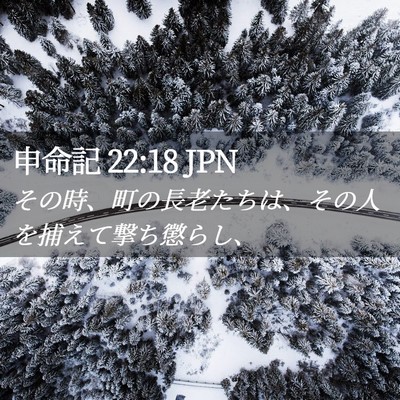 Picture 02 - 申命記 22:18 JPN - その時、町の長老たちは、その人を - Bible Verse Picture