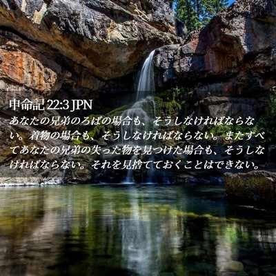 Picture 02 - 申命記 22:3 JPN - あなたの兄弟のろばの場合も、そう - Bible Verse Picture