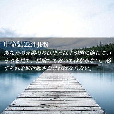 Picture 02 - 申命記 22:4 JPN - あなたの兄弟のろばまたは牛が道に - Bible Verse Picture