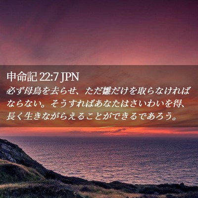 Picture 02 - 申命記 22:7 JPN - 必ず母鳥を去らせ、ただ雛だけを取 - Bible Verse Picture