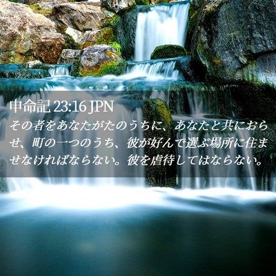 Picture 02 - 申命記 23:16 JPN - その者をあなたがたのうちに、あな - Bible Verse Picture