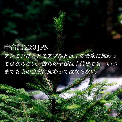 Picture 02 - 申命記 23:3 JPN - アンモンびととモアブびとは主の会 - Bible Verse Picture