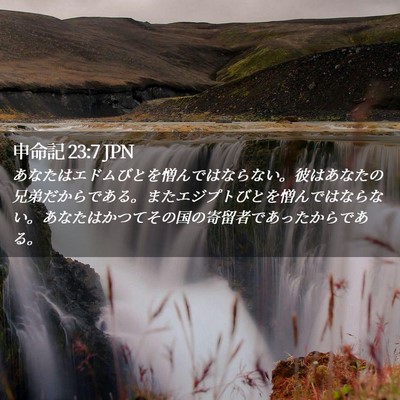 Picture 02 - 申命記 23:7 JPN - あなたはエドムびとを憎んではなら - Bible Verse Picture