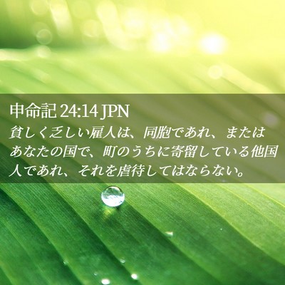 Picture 02 - 申命記 24:14 JPN - 貧しく乏しい雇人は、同胞であれ、 - Bible Verse Picture