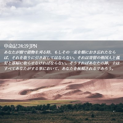 Picture 02 - 申命記 24:19 JPN - あなたが畑で穀物を刈る時、もしそ - Bible Verse Picture
