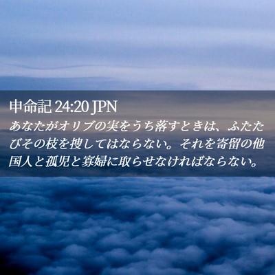 Picture 02 - 申命記 24:20 JPN - あなたがオリブの実をうち落すとき - Bible Verse Picture