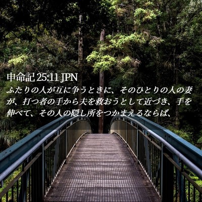Picture 02 - 申命記 25:11 JPN - ふたりの人が互に争うときに、その - Bible Verse Picture
