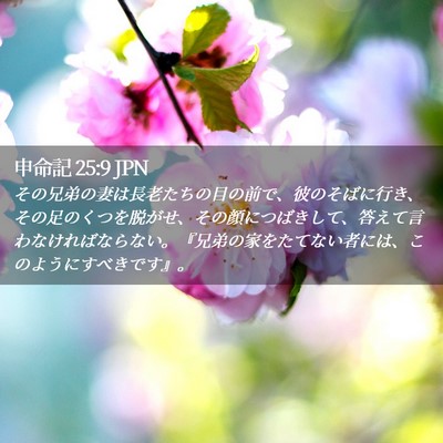 Picture 02 - 申命記 25:9 JPN - その兄弟の妻は長老たちの目の前で - Bible Verse Picture