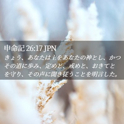 Picture 02 - 申命記 26:17 JPN - きょう、あなたは主をあなたの神と - Bible Verse Picture