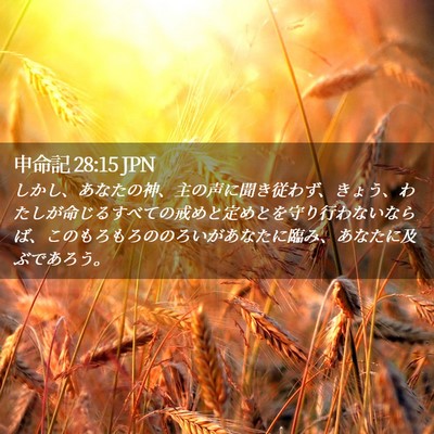 Picture 02 - 申命記 28:15 JPN - しかし、あなたの神、主の声に聞き - Bible Verse Picture