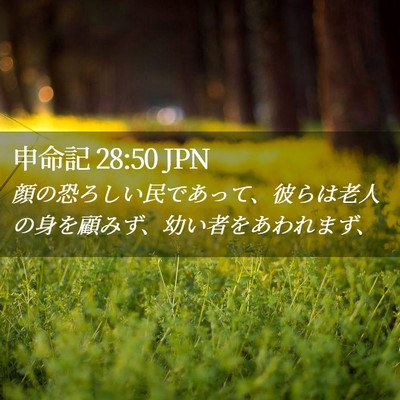 Picture 02 - 申命記 28:50 JPN - 顔の恐ろしい民であって、彼らは老 - Bible Verse Picture