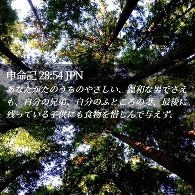 Picture 02 - 申命記 28:54 JPN - あなたがたのうちのやさしい、温和 - Bible Verse Picture
