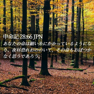 Picture 02 - 申命記 28:66 JPN - あなたの命は細い糸にかかっている - Bible Verse Picture