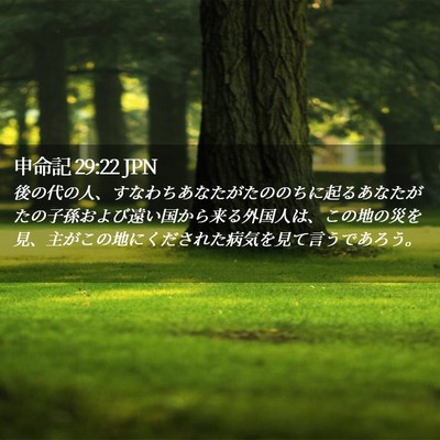 Picture 02 - 申命記 29:22 JPN - 後の代の人、すなわちあなたがたの - Bible Verse Picture