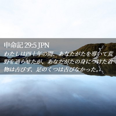 Picture 02 - 申命記 29:5 JPN - わたしは四十年の間、あなたがたを - Bible Verse Picture